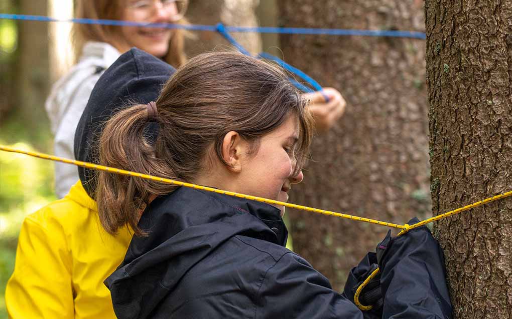 Exploration & Evaluation