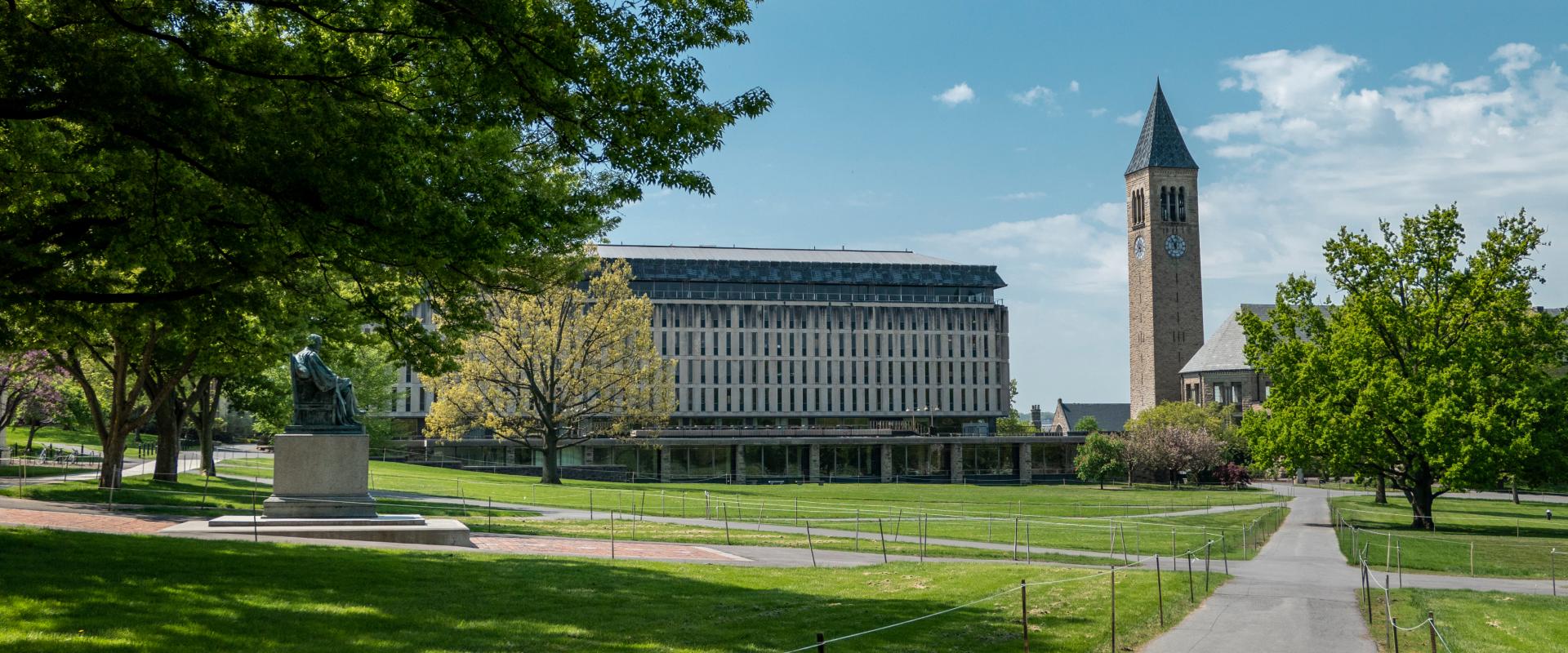 Russel Group and Ivy League universities