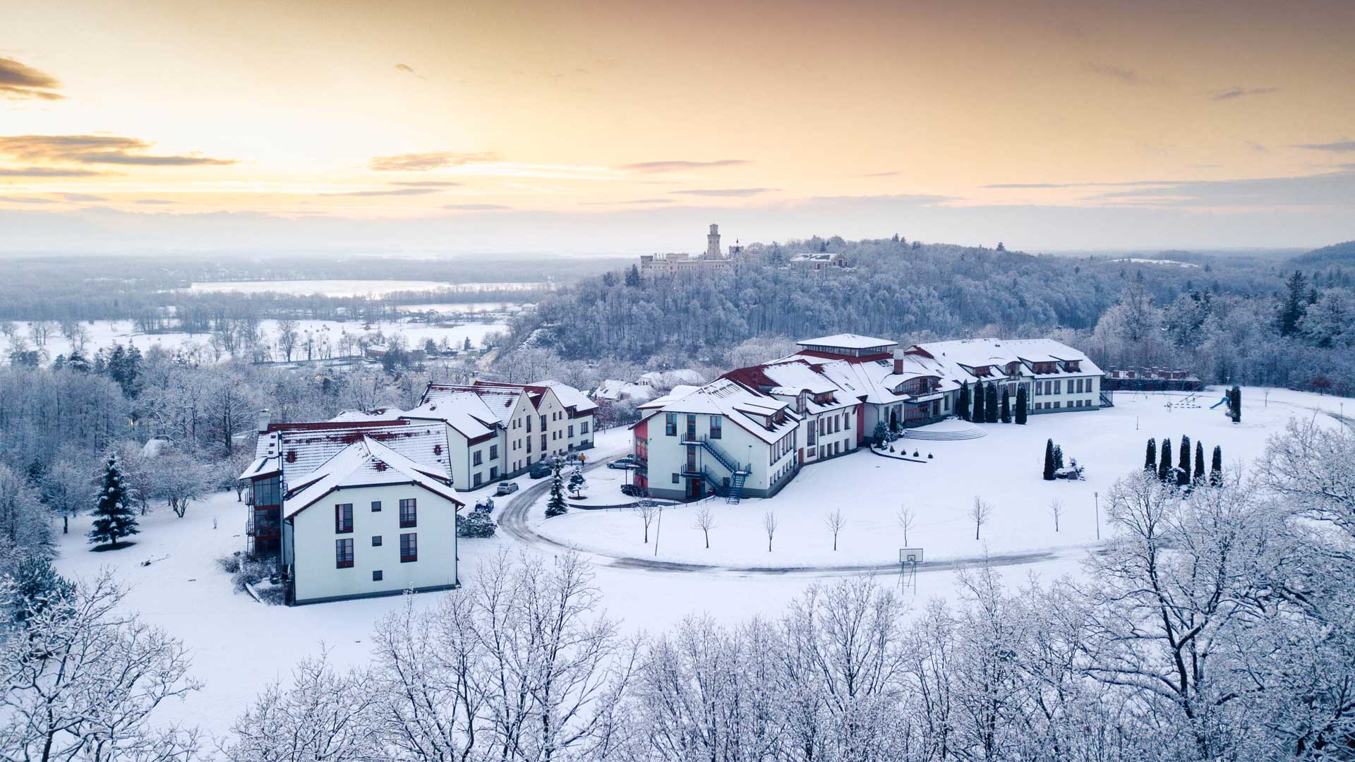 Message from Our Global Education Director